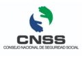 Imagen del logro del CNSS