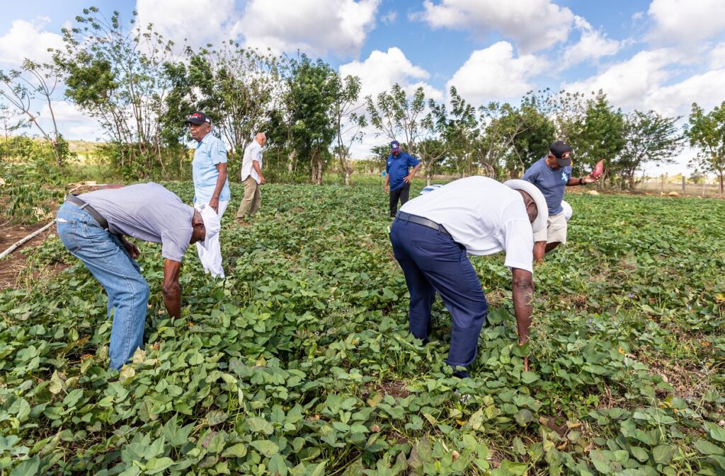 Foto de Envejecientes en el campo.