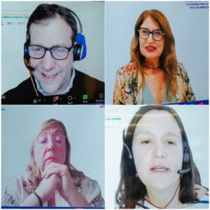 Imagen de la video conferencia de los webinar realizados en el marco del programa de actividades. (LaSeguridadSocial.Do)